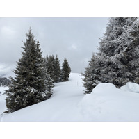 Picture France Praz sur Arly 2025-02 71 - Cost Praz sur Arly