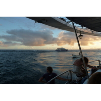 Picture Seychelles Sea Star 2011-10 81 - Rentals Sea Star