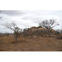 Picture South Africa Kruger National Park 2008-09 24 - SPA Kruger National Park