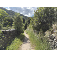 Picture France Corsica Corte 2025-06 15 - Rain Season Corte