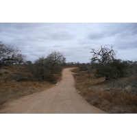 Picture South Africa Kruger National Park 2008-09 121 - Walking Street Kruger National Park