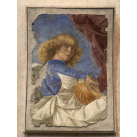 Picture Italy Rome Vatican Museum 2024-09 294 - City View Vatican Museum