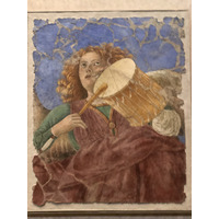 Picture Italy Rome Vatican Museum 2024-09 250 - Summer Vatican Museum