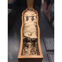 Picture Italy Rome Vatican Museum 2024-09 166 - Saving Vatican Museum
