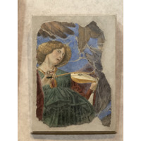 Picture Italy Rome Vatican Museum 2024-09 441 - Summer Vatican Museum