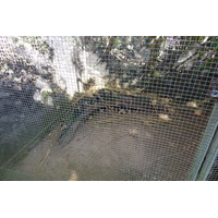Picture Thailand Chiang Mai Mae Sa Snake Farm 2010-12 29 - Cheap Room Mae Sa Snake Farm