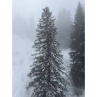 Picture France Praz sur Arly 2025-02 63 - Cheap Room Praz sur Arly