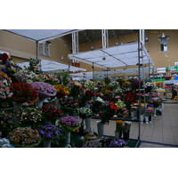 Picture Ukraine Kiev Kiev Market 2007-11 22 - Rain Season Kiev Market
