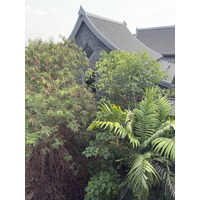 Picture Thailand Chiang Mai Kalm 2024-12 12 - Resort Kalm