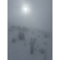 Picture France Praz sur Arly 2025-02 42 - Price Praz sur Arly