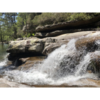 Picture France Corsica Aitone Forest 2021-06 41 - Spring Aitone Forest