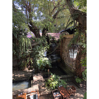 Picture Thailand Chiang Mai Faces restaurent 2026-01 12 - Restaurant Faces restaurent