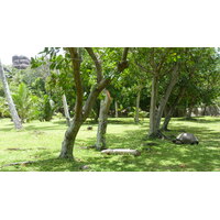 Picture Seychelles Grande Soeur 2011-10 37 - Savings Grande Soeur