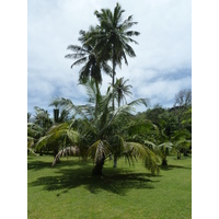 Picture Seychelles Grande Soeur 2011-10 96 - Shopping Grande Soeur