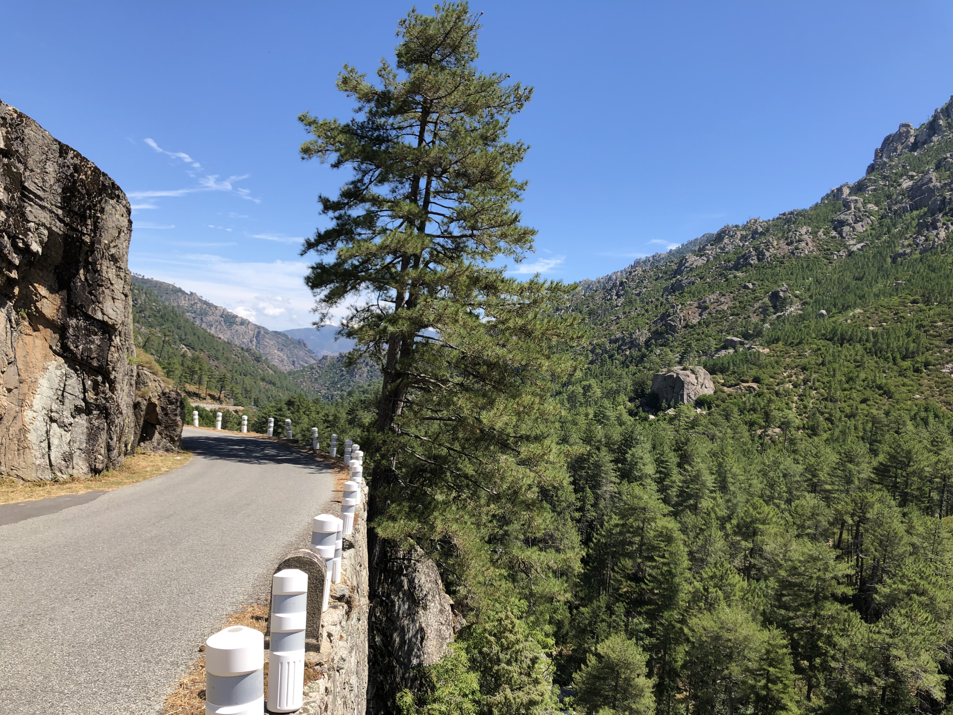 照片 法国(France) 科西嘉岛(Corsica) 雷斯托尼卡山谷(La Restonica) 2020-07 60