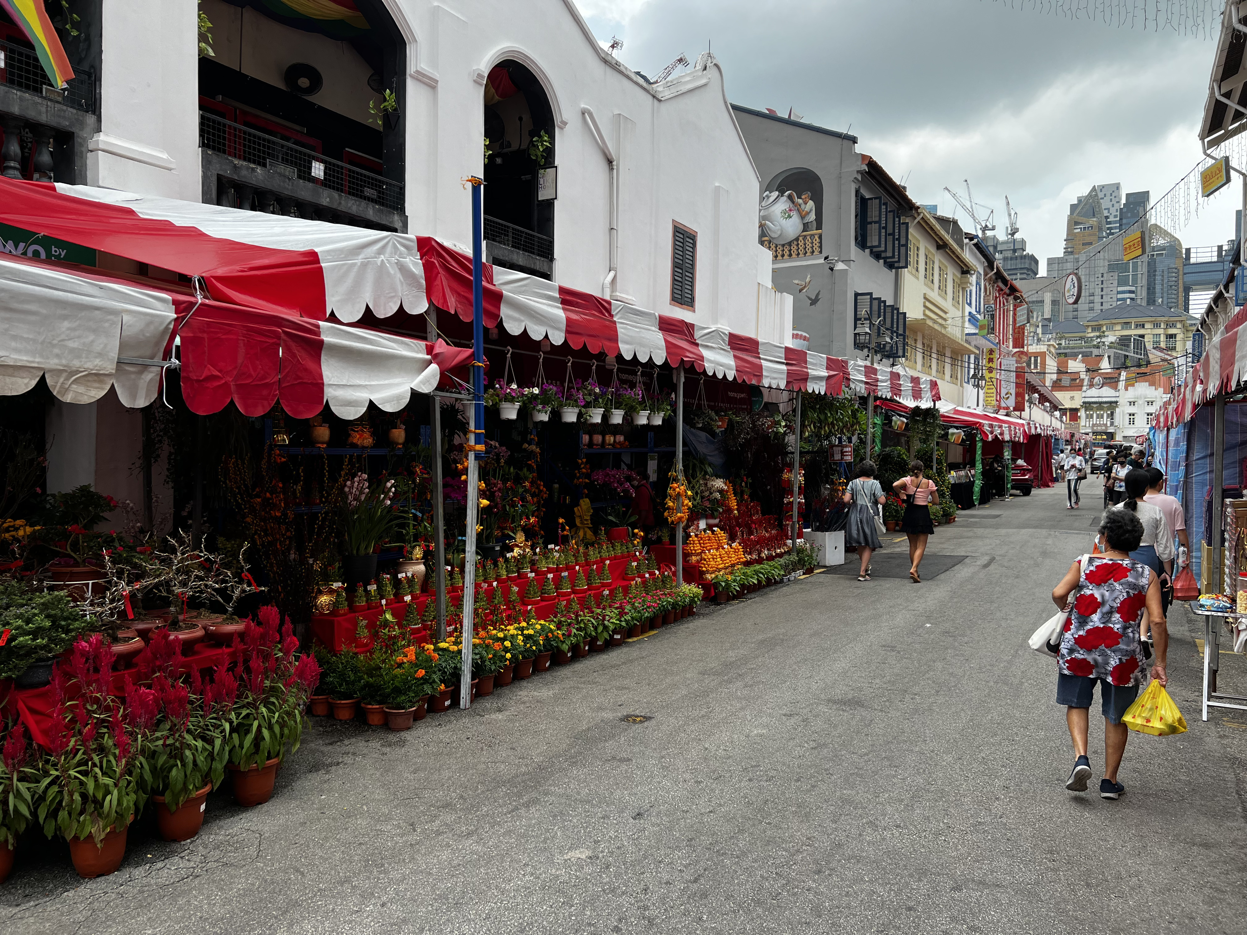 照片 新加坡(Singapore) 牛车水(China Town) 2023-01 47