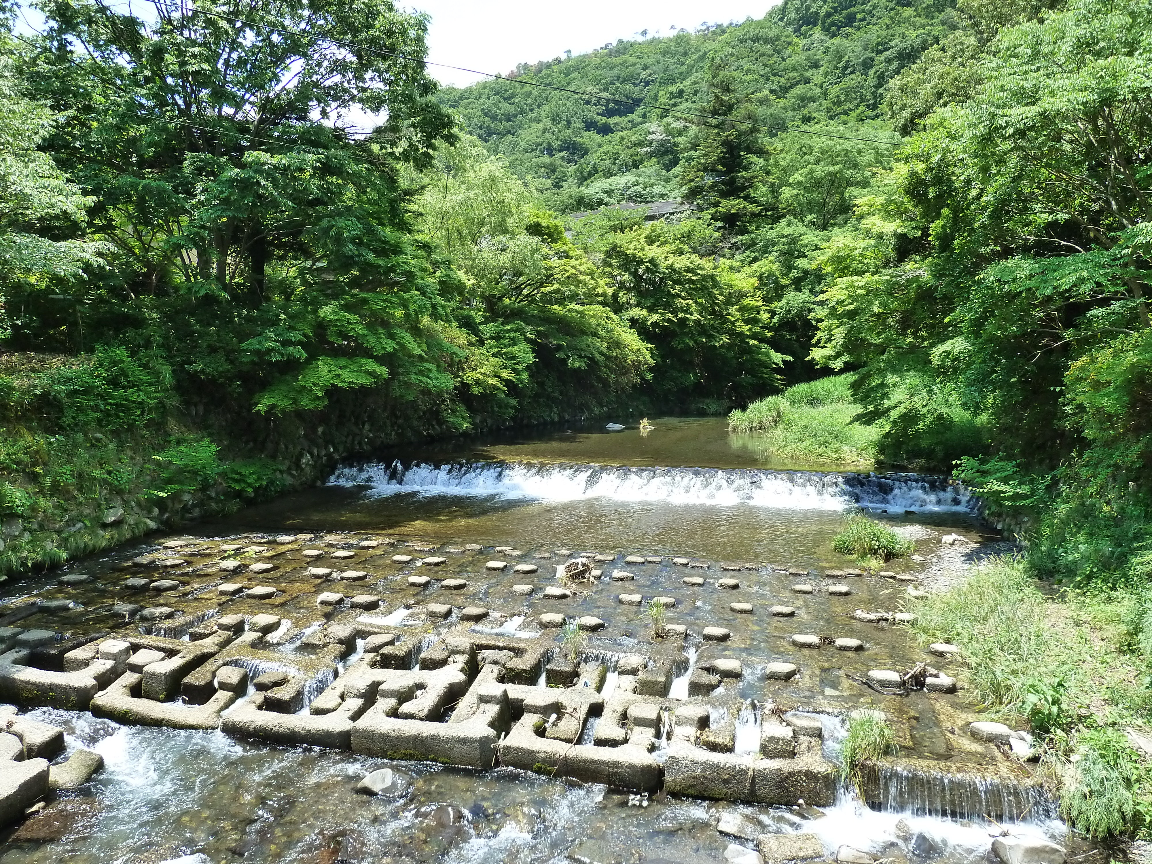 照片 日本(Japan) 京都(Kyoto) 八濑比叡山口站(Yase Hieizanguchi Station) 2010-06 22