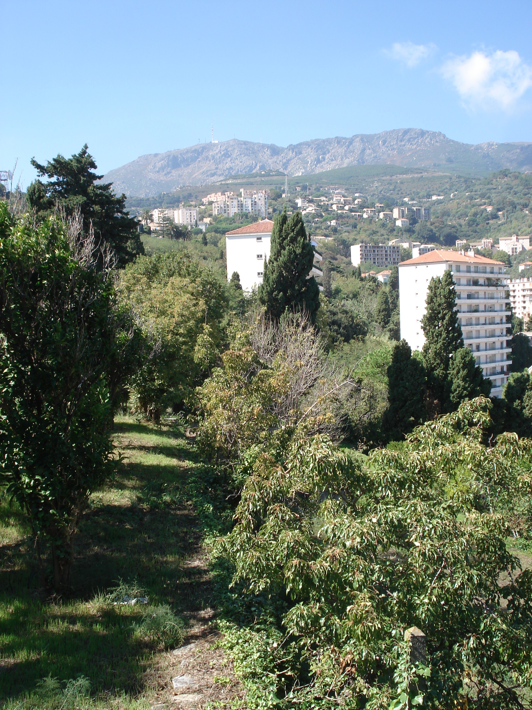 照片 法国(France) 科西嘉岛(Corsica) 巴斯蒂亚(Bastia) 2006-09 43