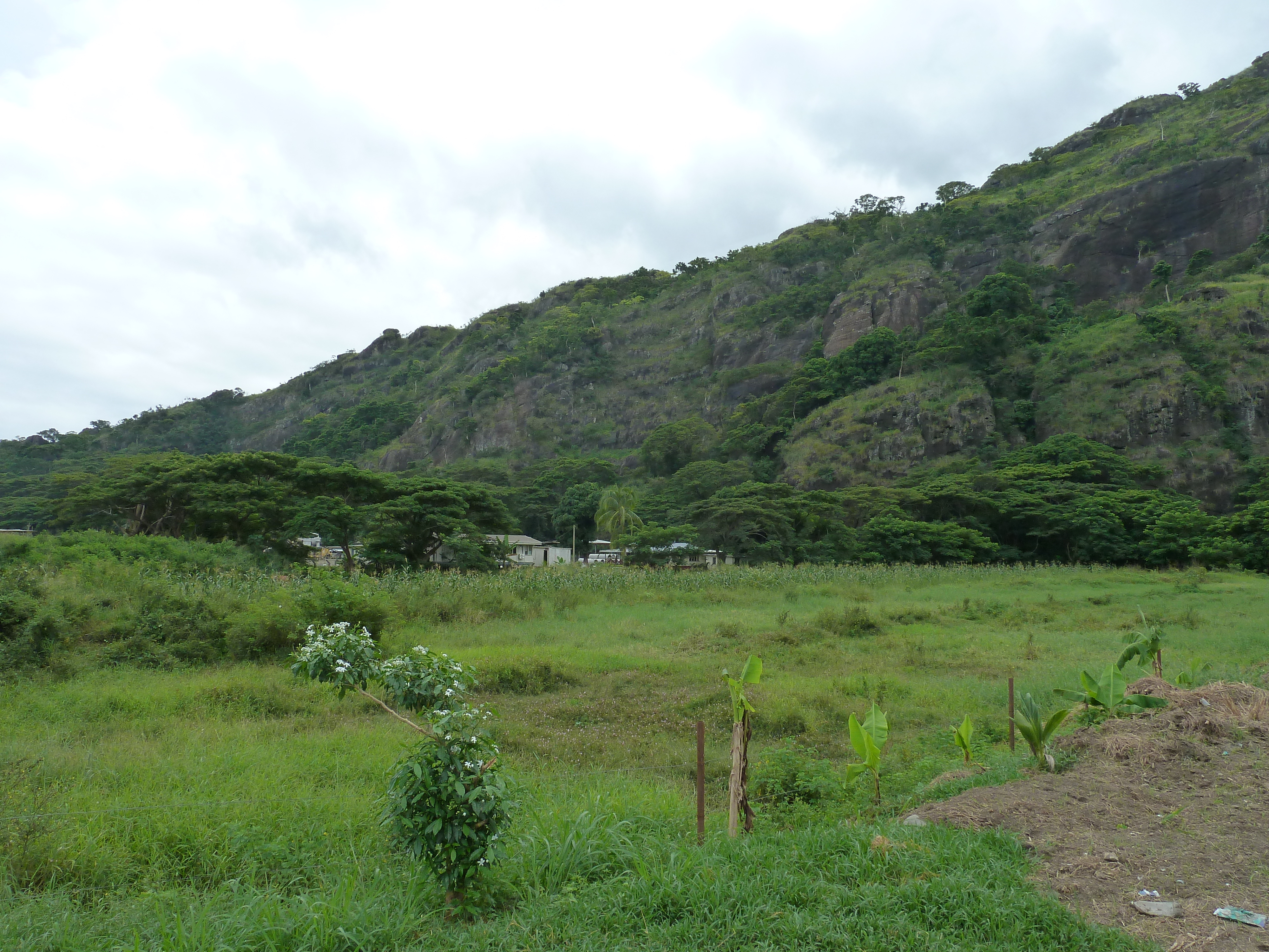 照片 斐济(Fiji) 楠迪至劳托卡公路(Nadi to Lautoka road) 2010-05 11