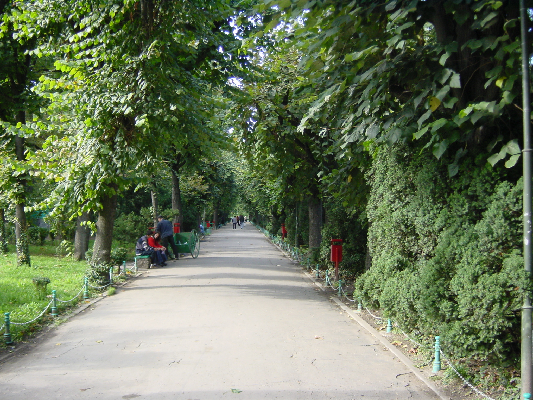 照片 罗马尼亚(Romania) 布加勒斯特(Bucharest) 2003-10 1
