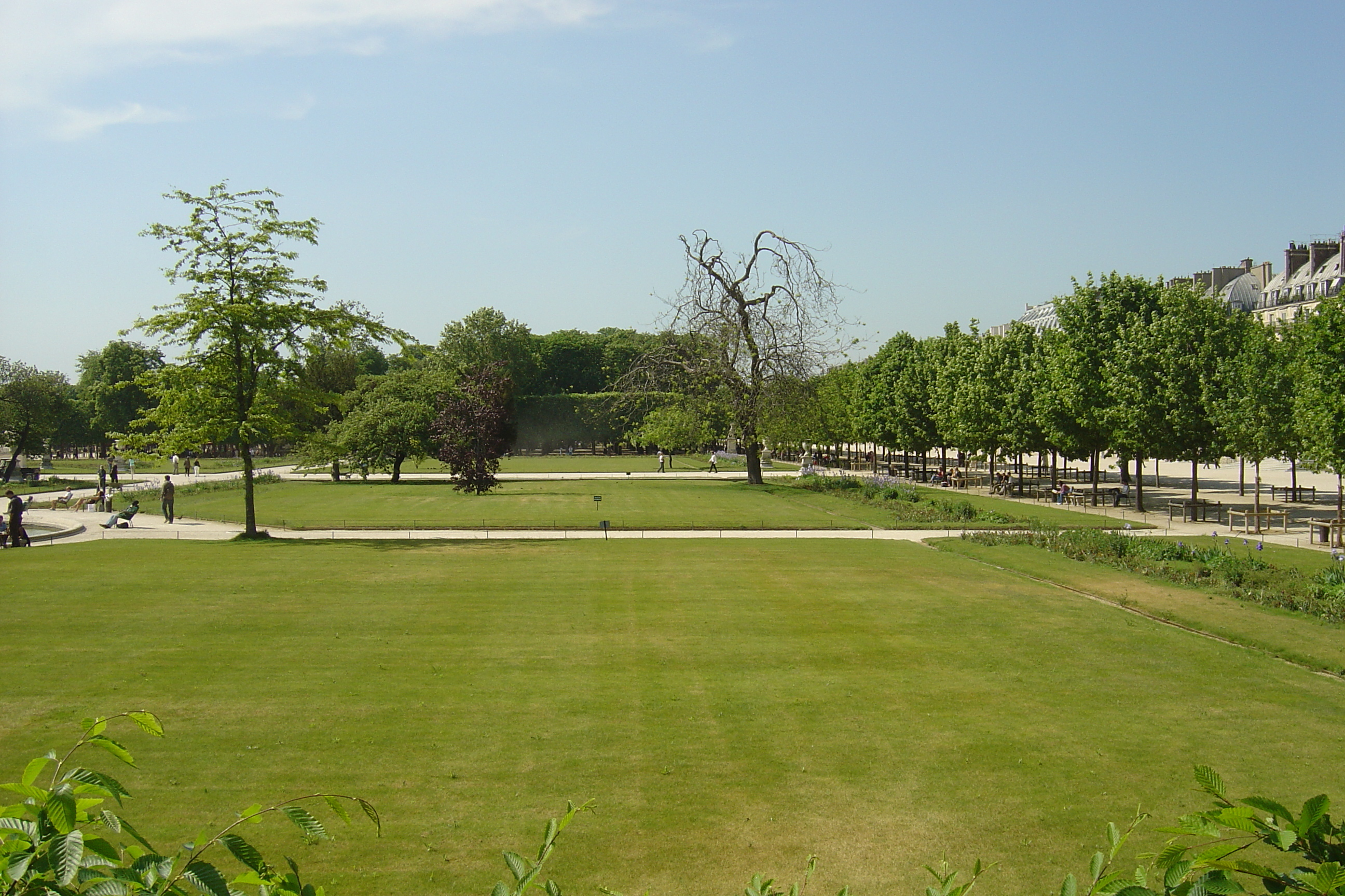 照片 法国(France) 巴黎(Paris) 杜乐丽花园(Garden of Tuileries) 2007-05 220