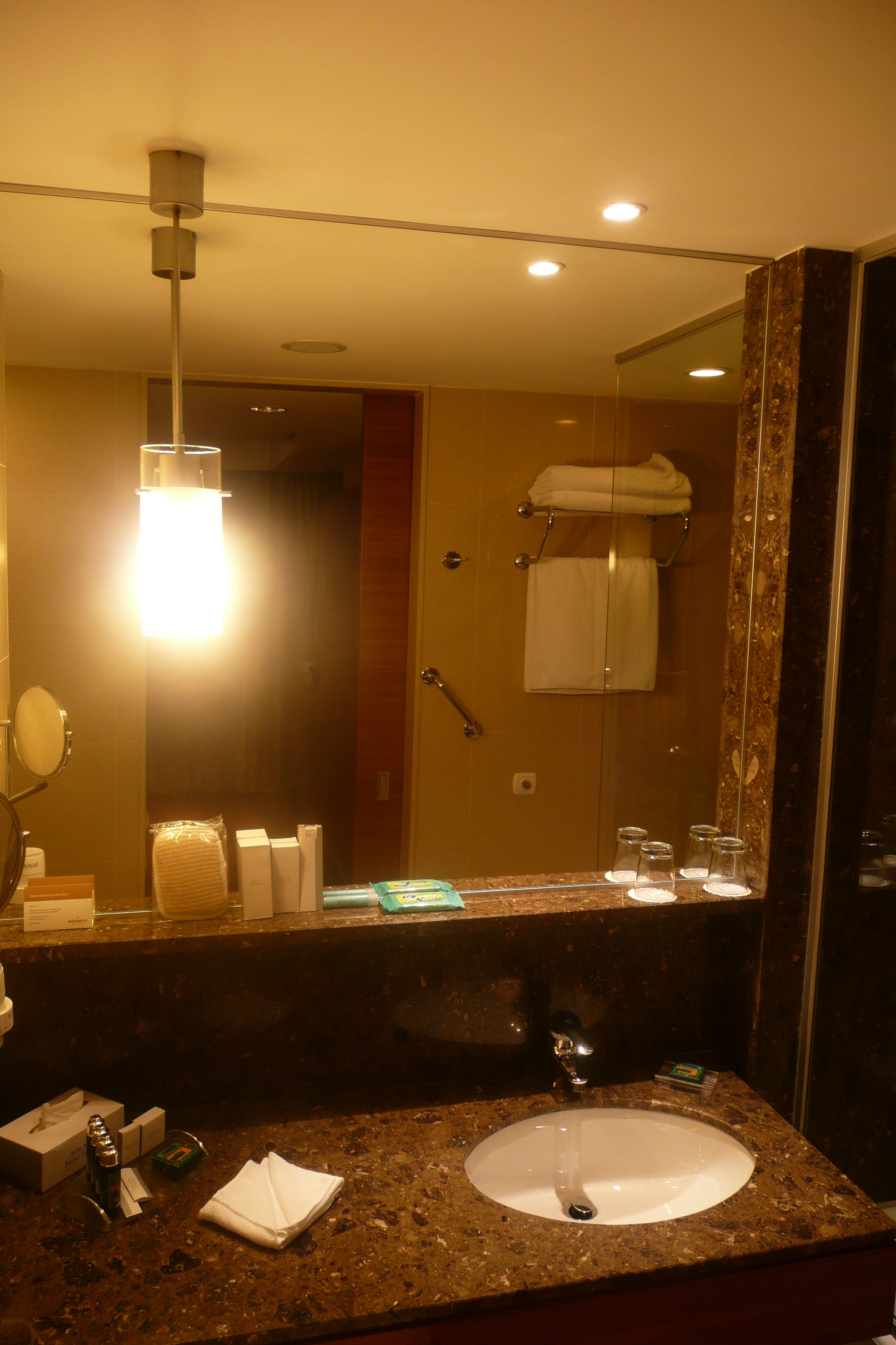 照片 土耳其(Turkey) 伊斯坦布尔(Istanbul) 伊斯坦布尔瑞享酒店(Movenpick Istanbul Hotel) 2009-04 4