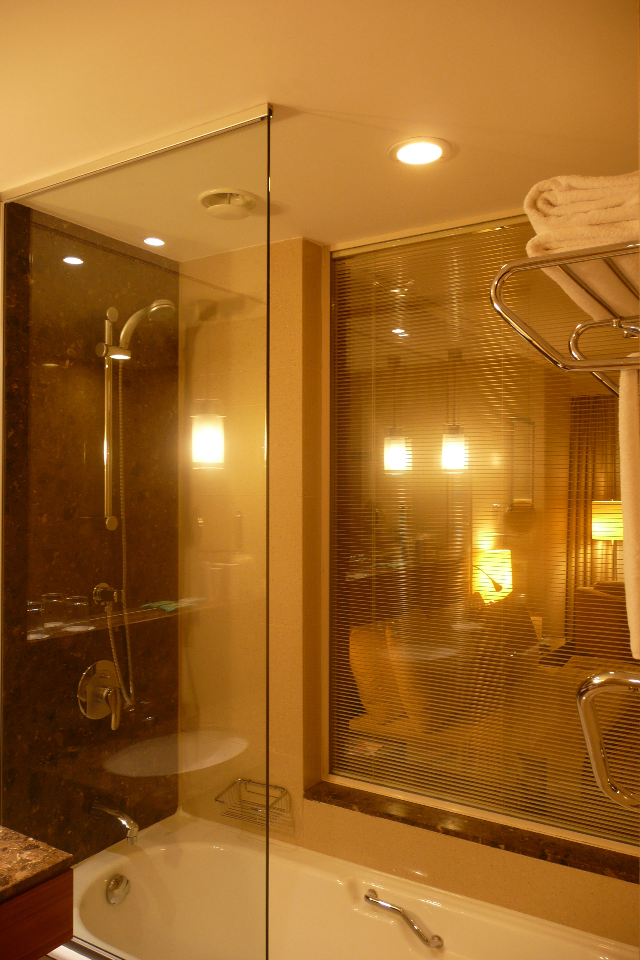 照片 土耳其(Turkey) 伊斯坦布尔(Istanbul) 伊斯坦布尔瑞享酒店(Movenpick Istanbul Hotel) 2009-04 7