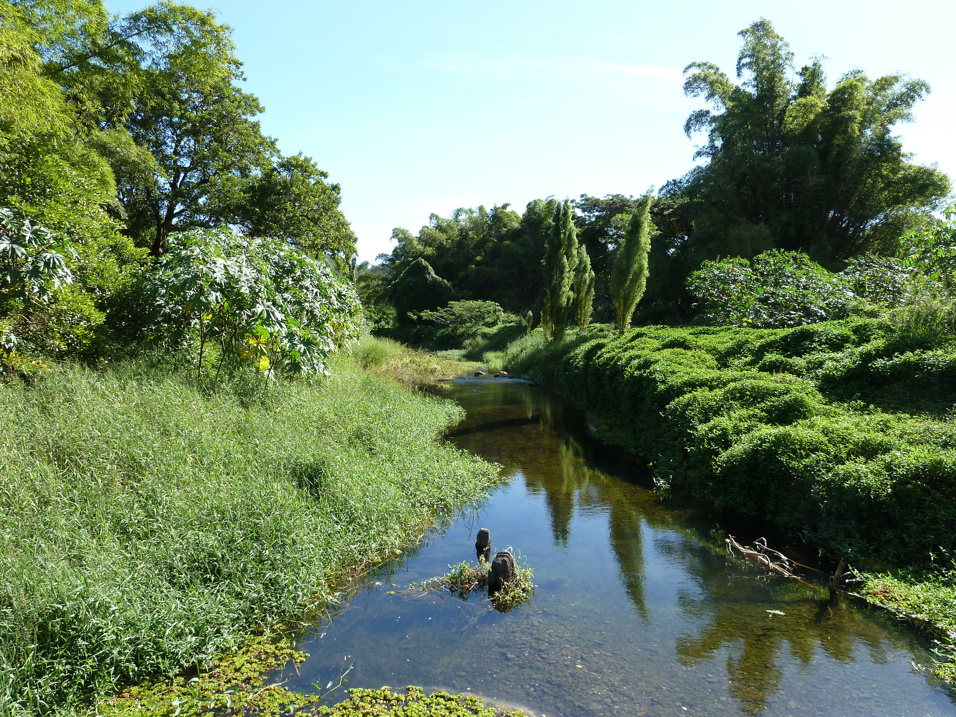 照片 新喀里多尼亚(New Caledonia) 蒂奥至卡纳拉公路(Thio to Canala road) 2010-05 10