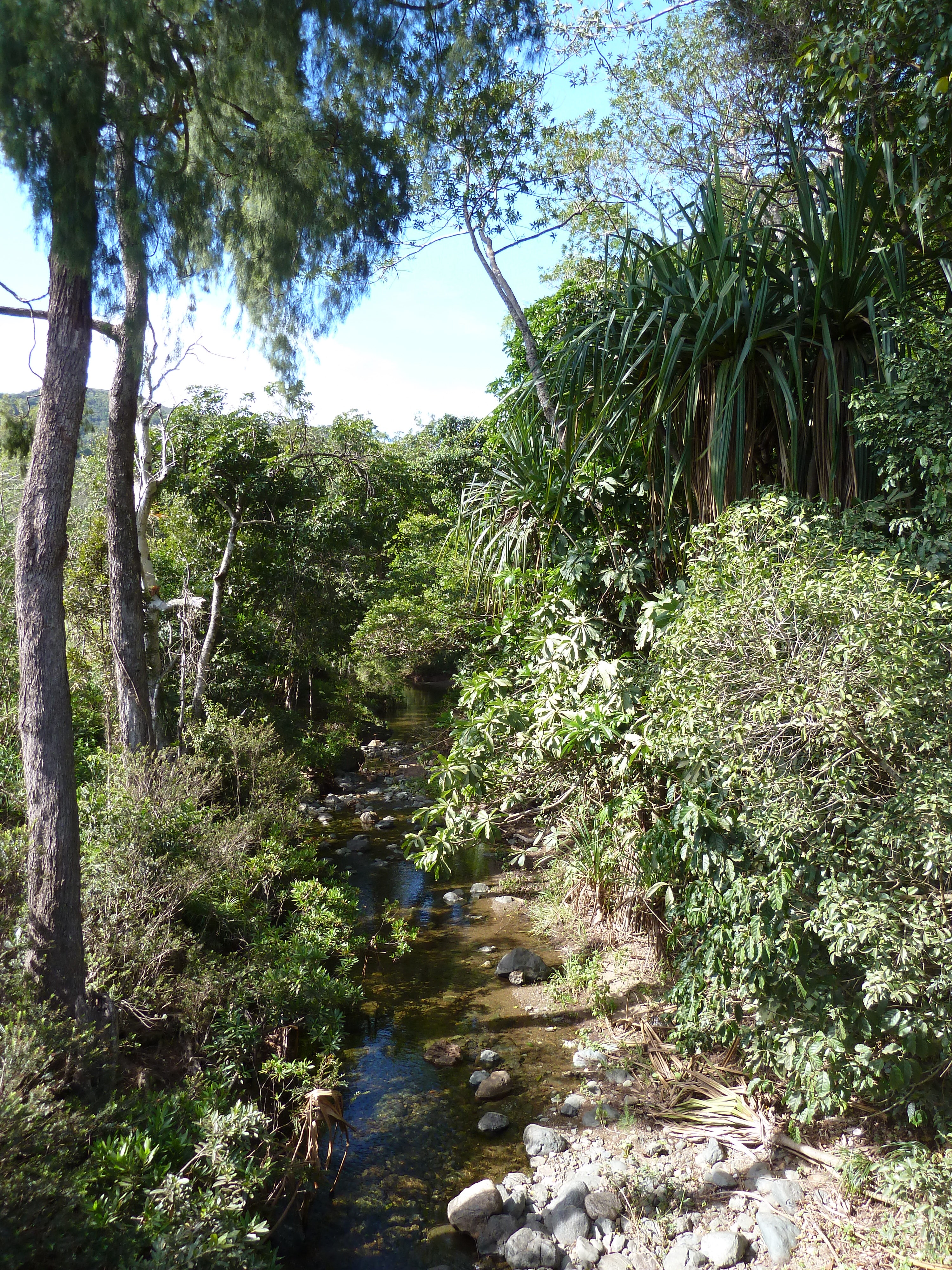 照片 新喀里多尼亚(New Caledonia) 蒂奥至卡纳拉公路(Thio to Canala road) 2010-05 9