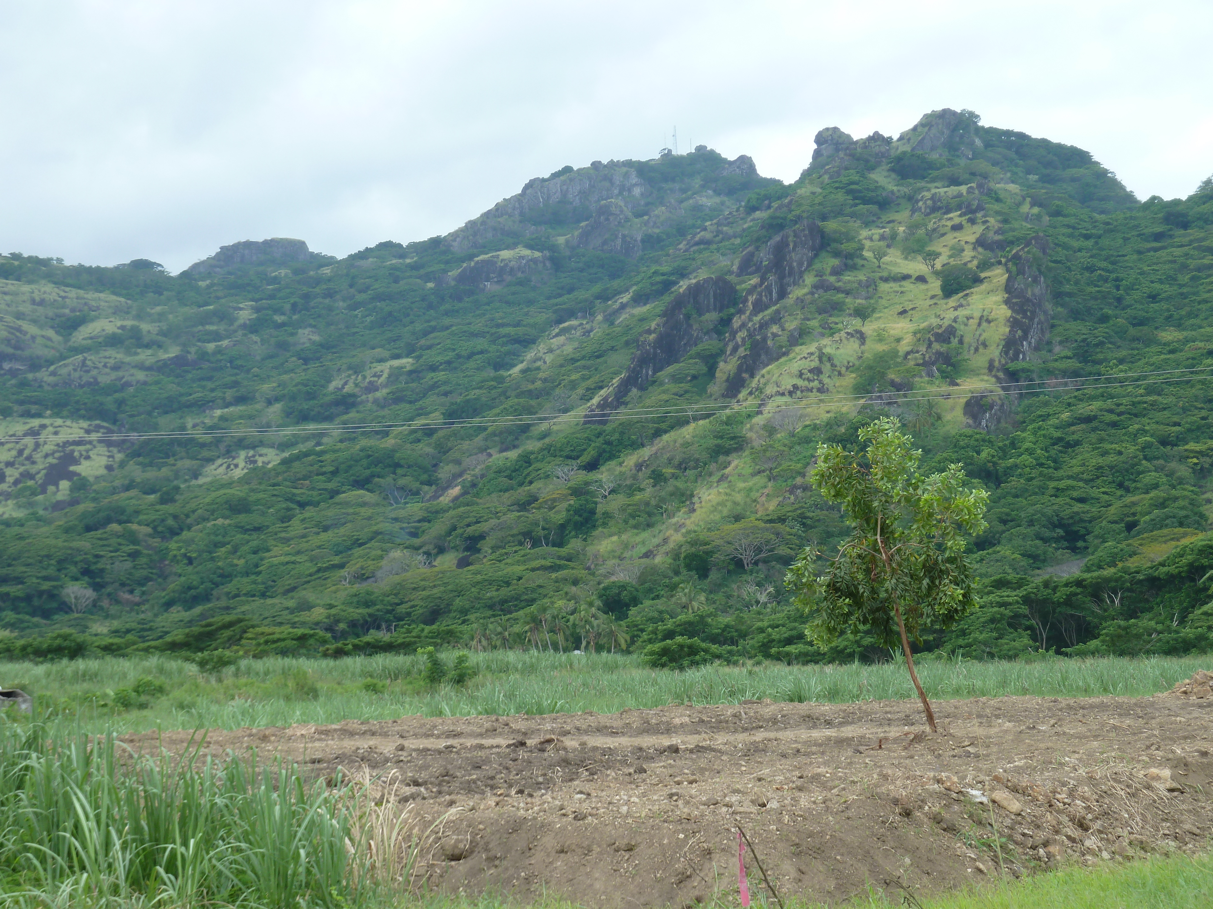 照片 斐济(Fiji) 楠迪至劳托卡公路(Nadi to Lautoka road) 2010-05 0
