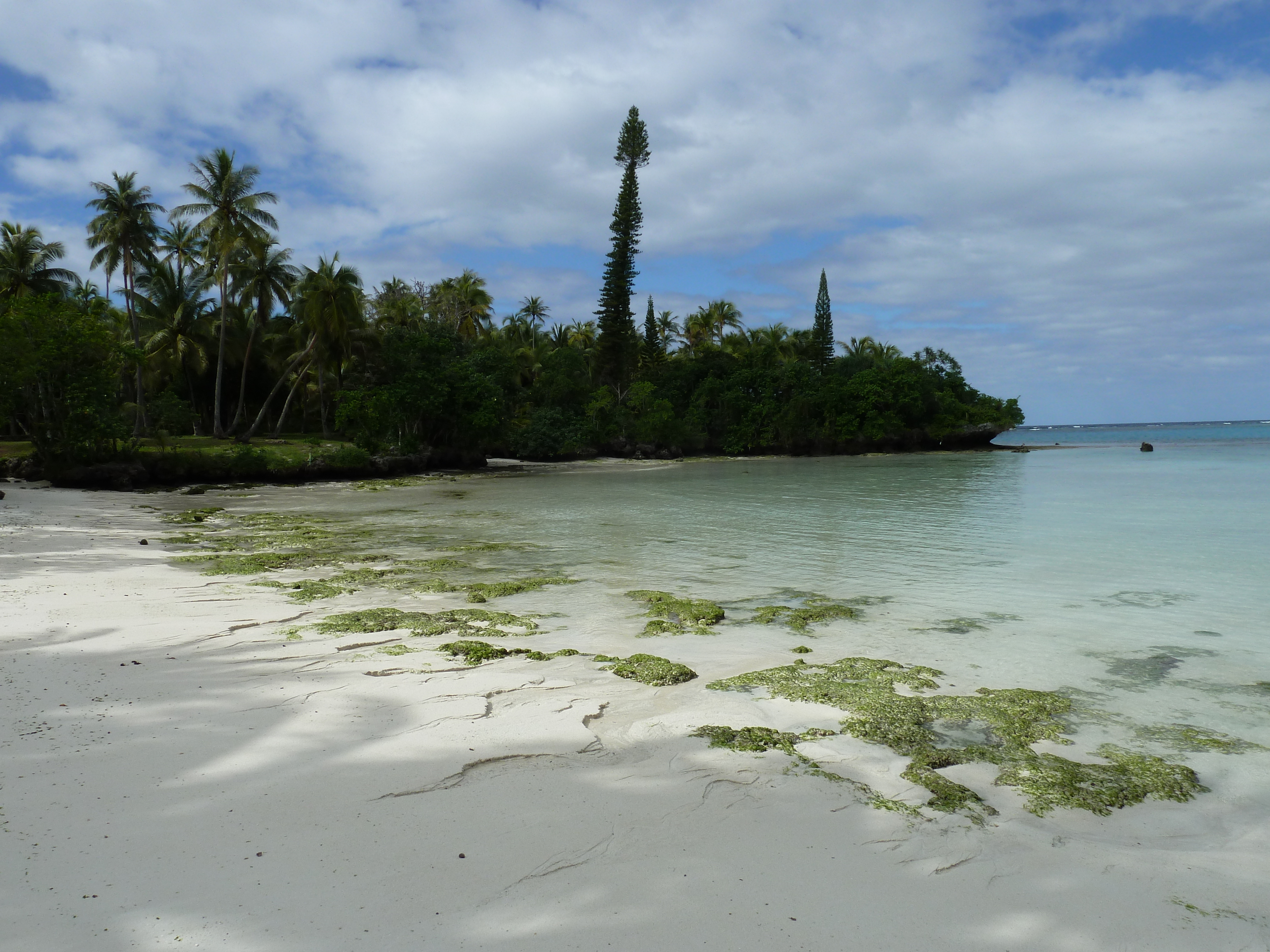 照片 新喀里多尼亚(New Caledonia) 利富岛(Lifou) 海龟湾(Baie des tortues) 2010-05 25