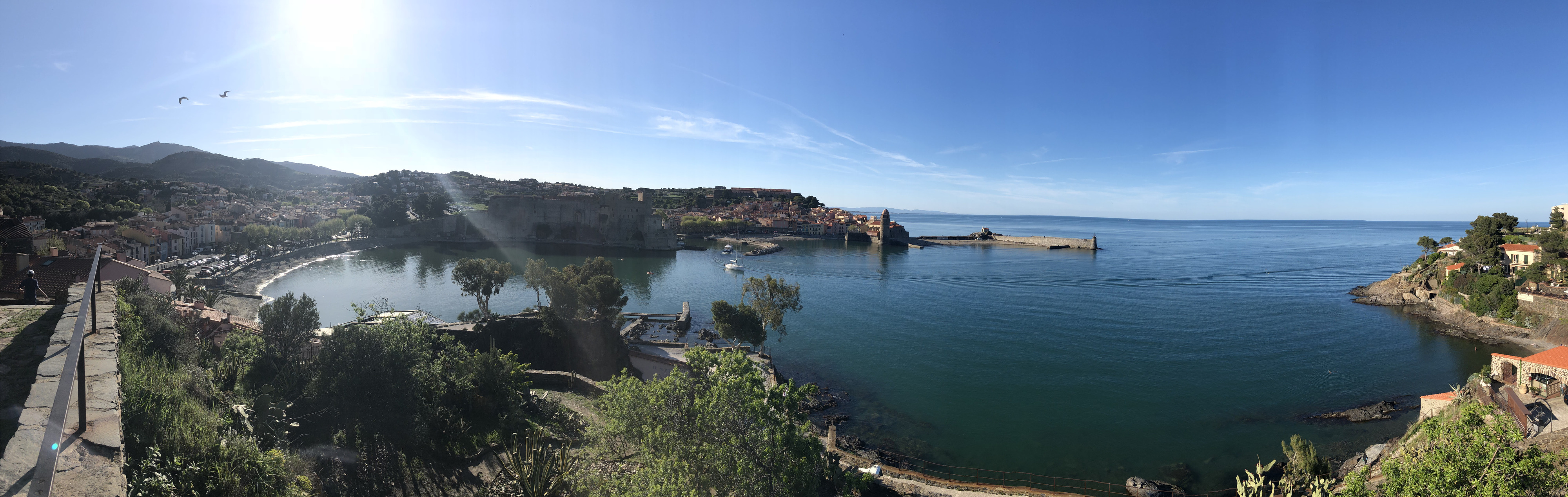 照片 法国(France) 科利乌尔(Collioure) 2018-04 252