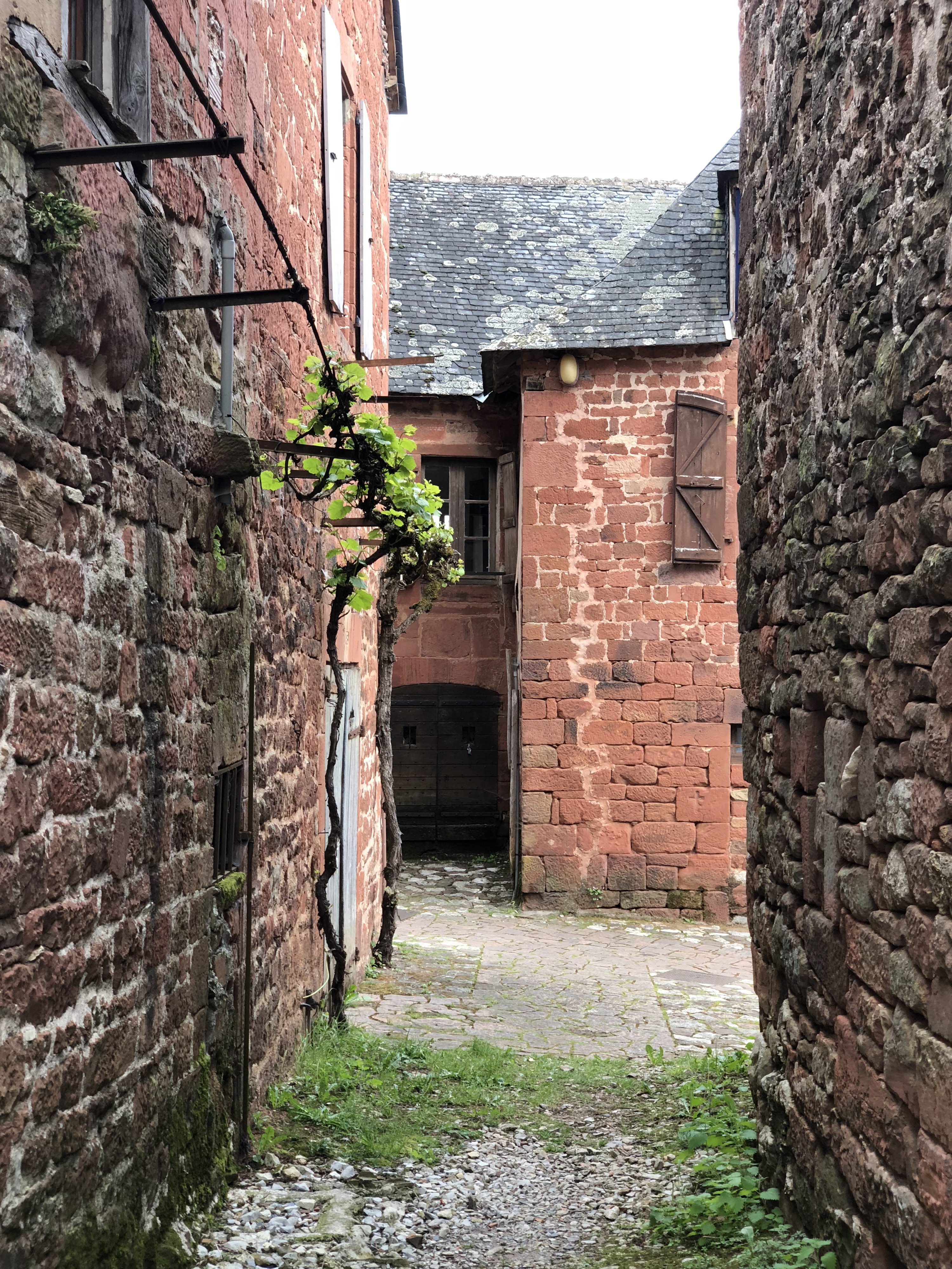 照片 法国(France) 科隆日拉鲁日(Collonges la Rouge) 2018-04 15