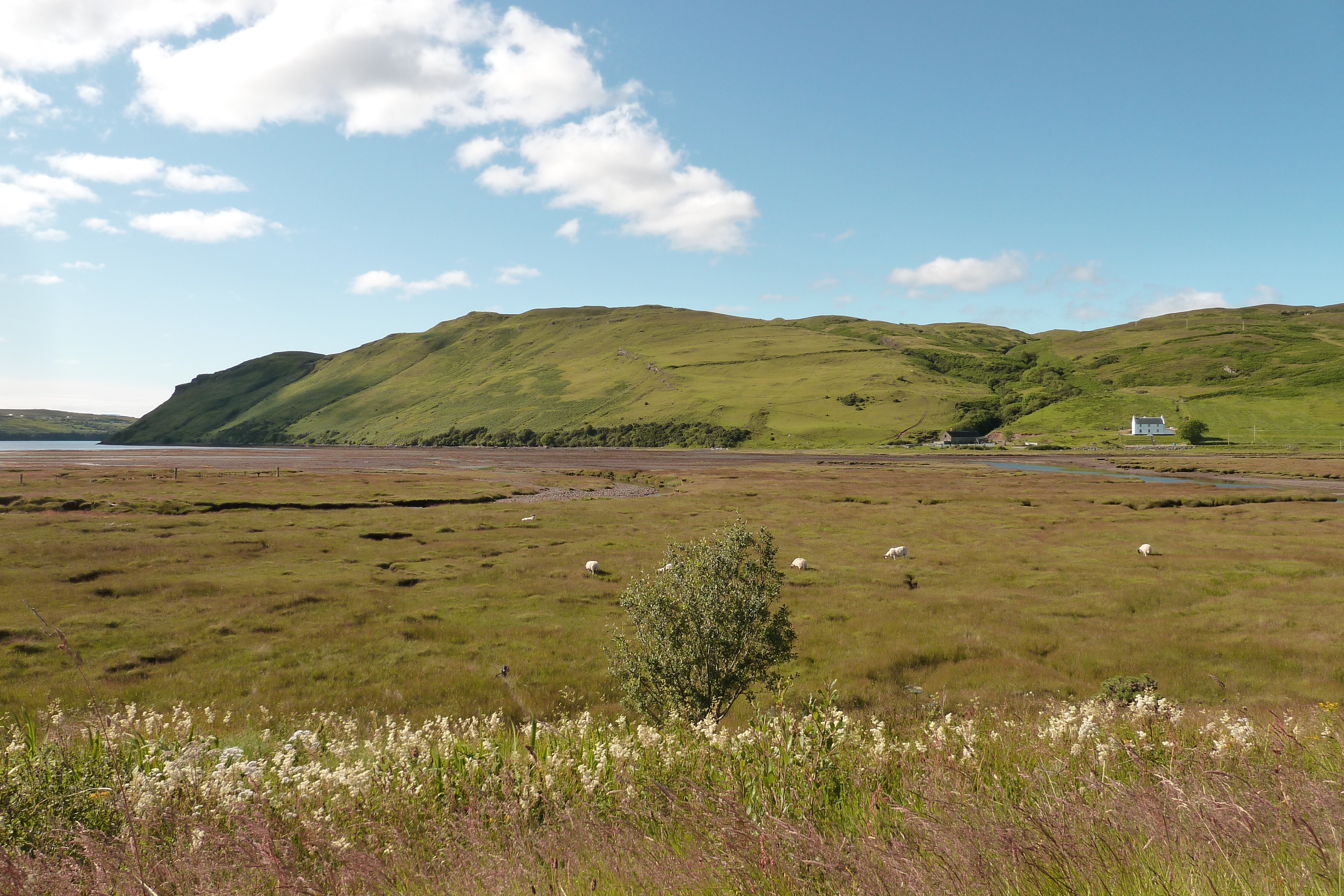 照片 英国(United Kingdom) 斯凯岛(Skye) 2011-07 117