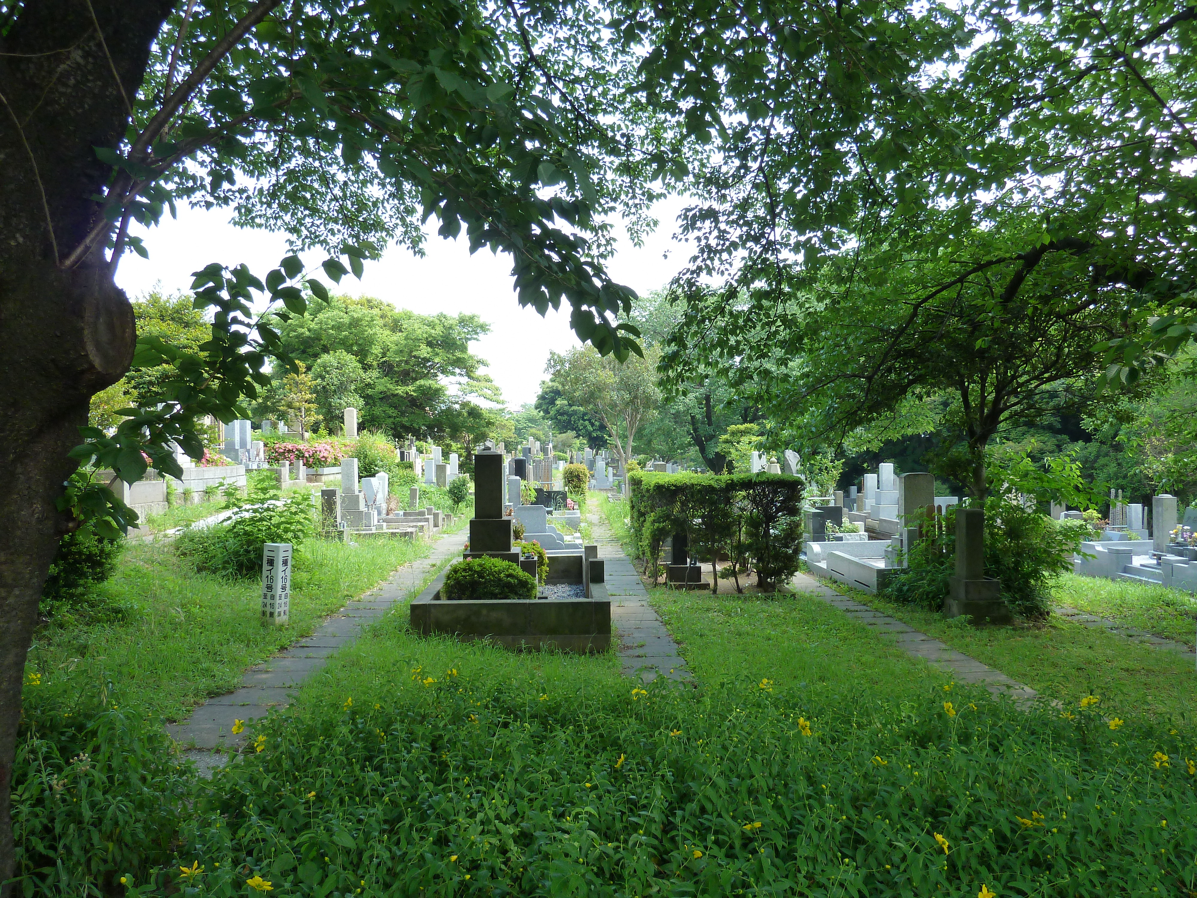 照片 日本(Japan) 东京(Tokyo) 表参道(Omotesando) 2010-06 42