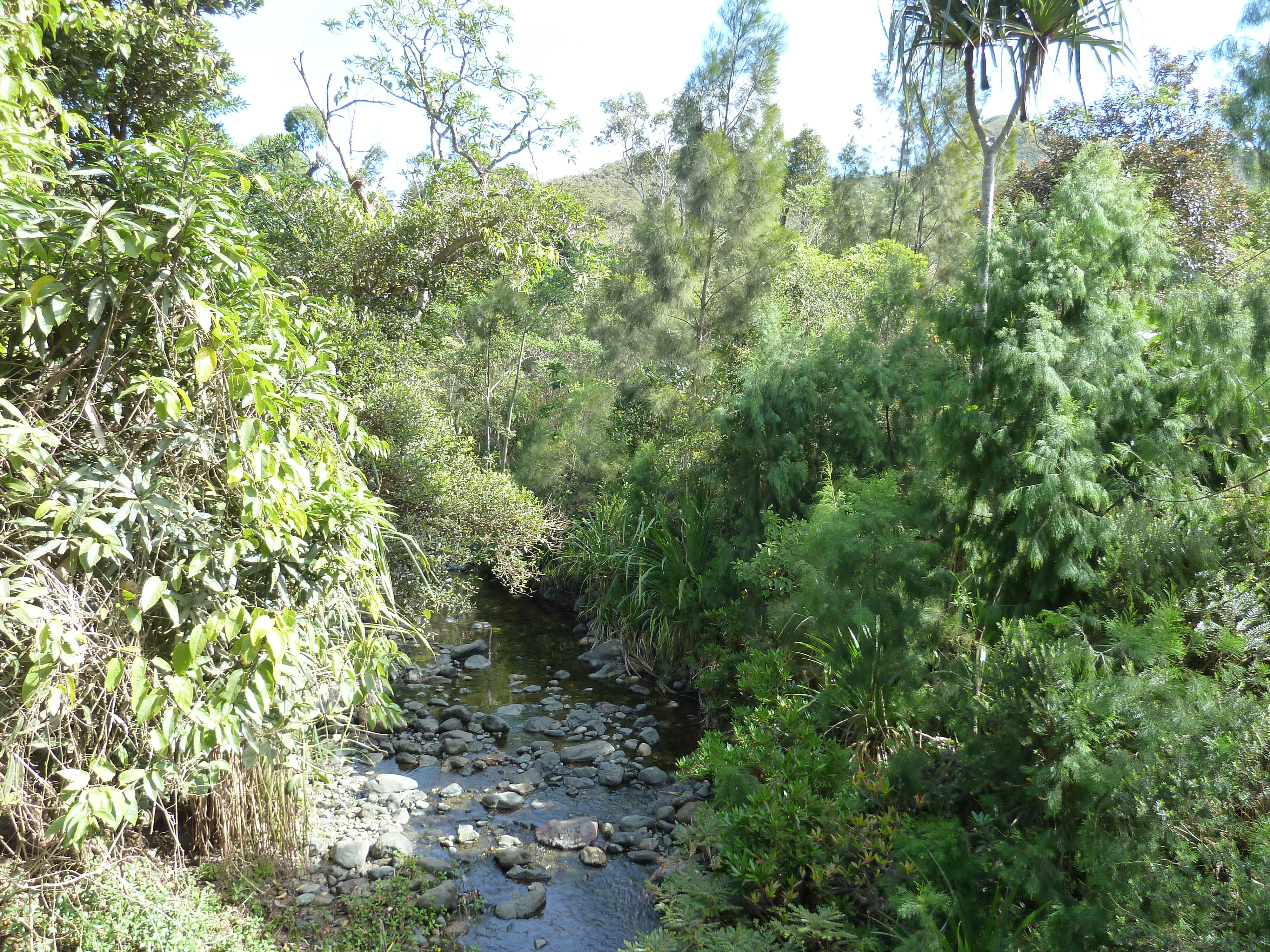 照片 新喀里多尼亚(New Caledonia) 蒂奥至卡纳拉公路(Thio to Canala road) 2010-05 5