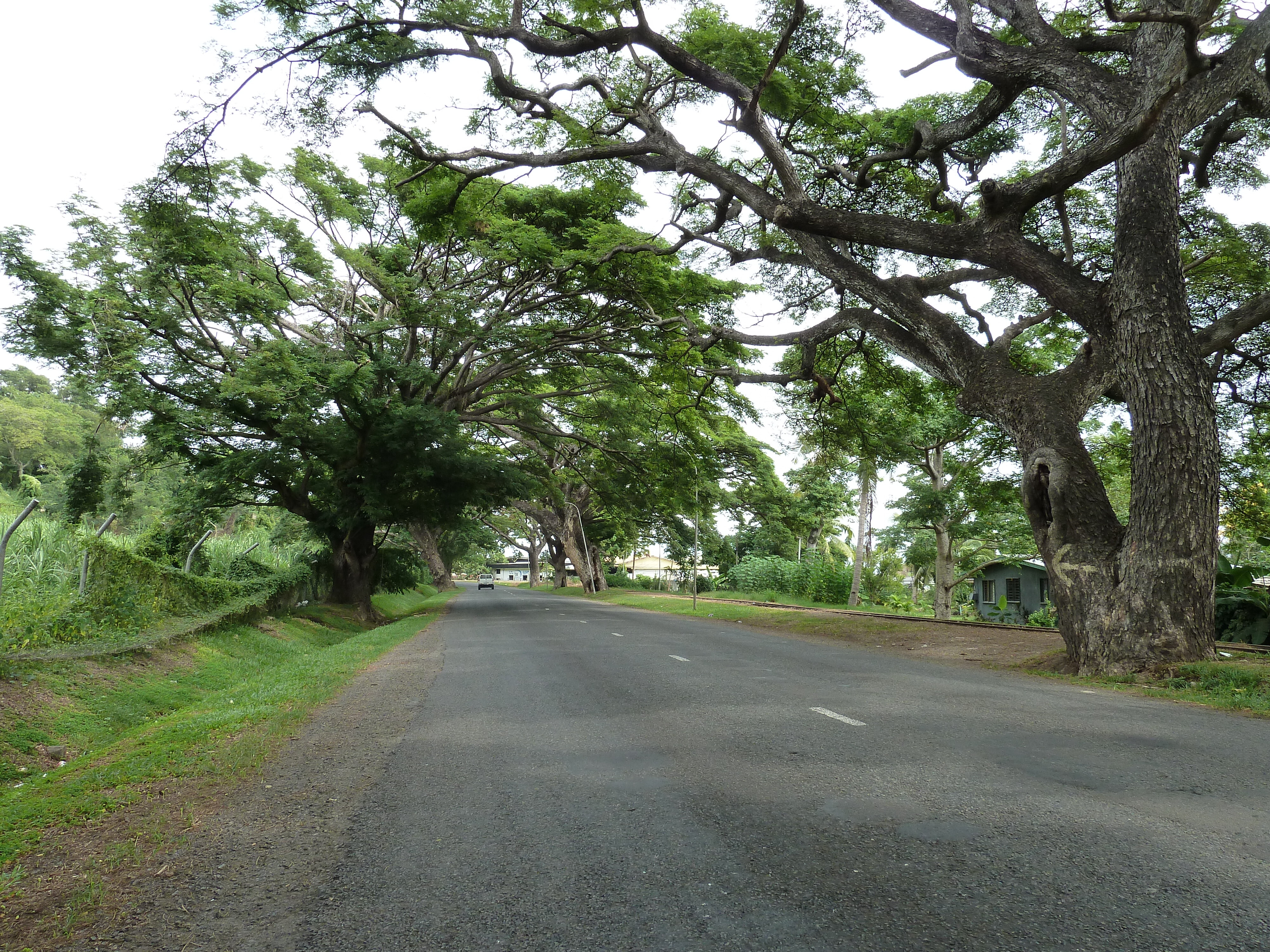 照片 斐济(Fiji) 2010-05 22