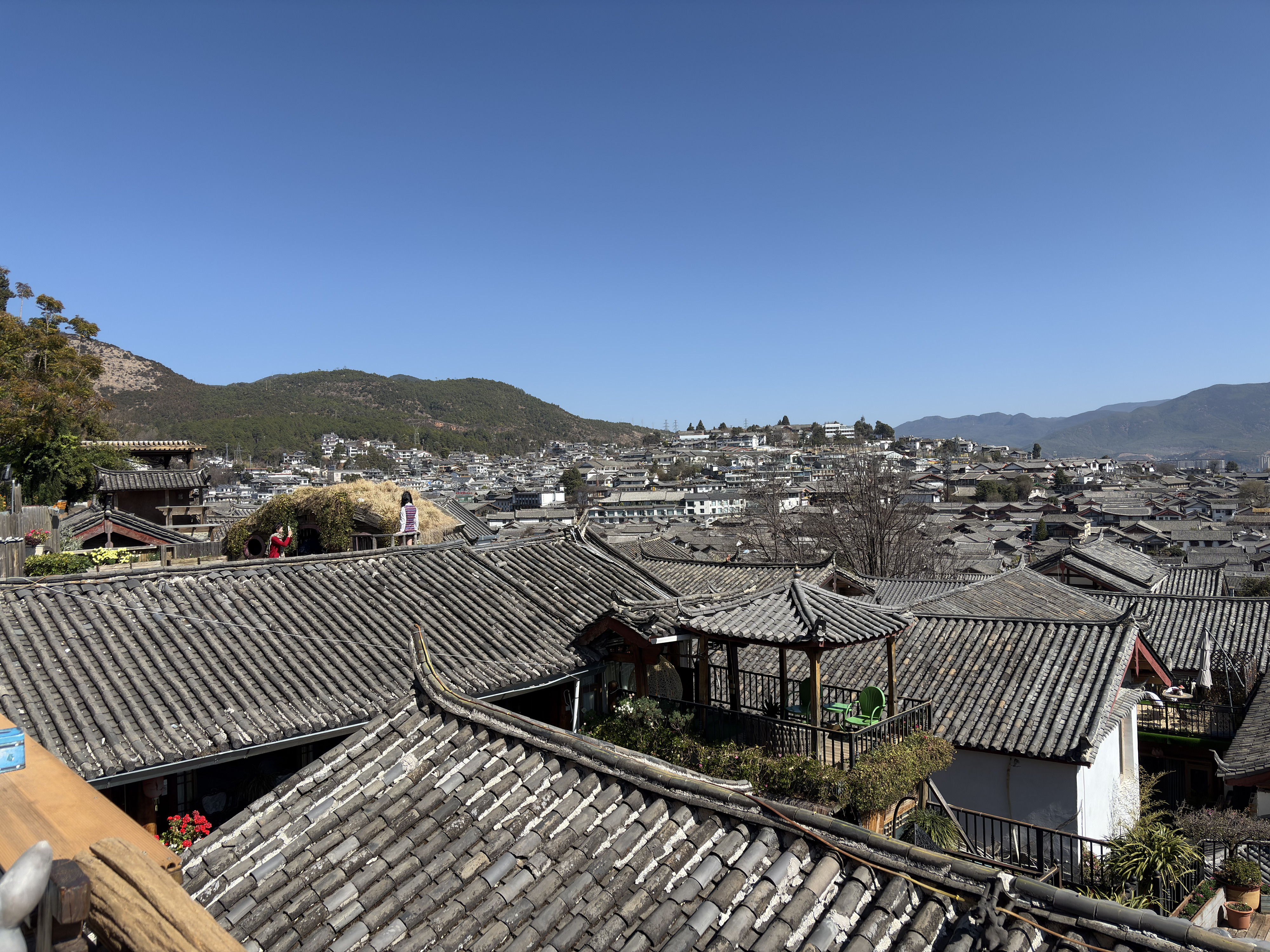 照片 中国(China) 丽江(Lijiang) 2026-01 448