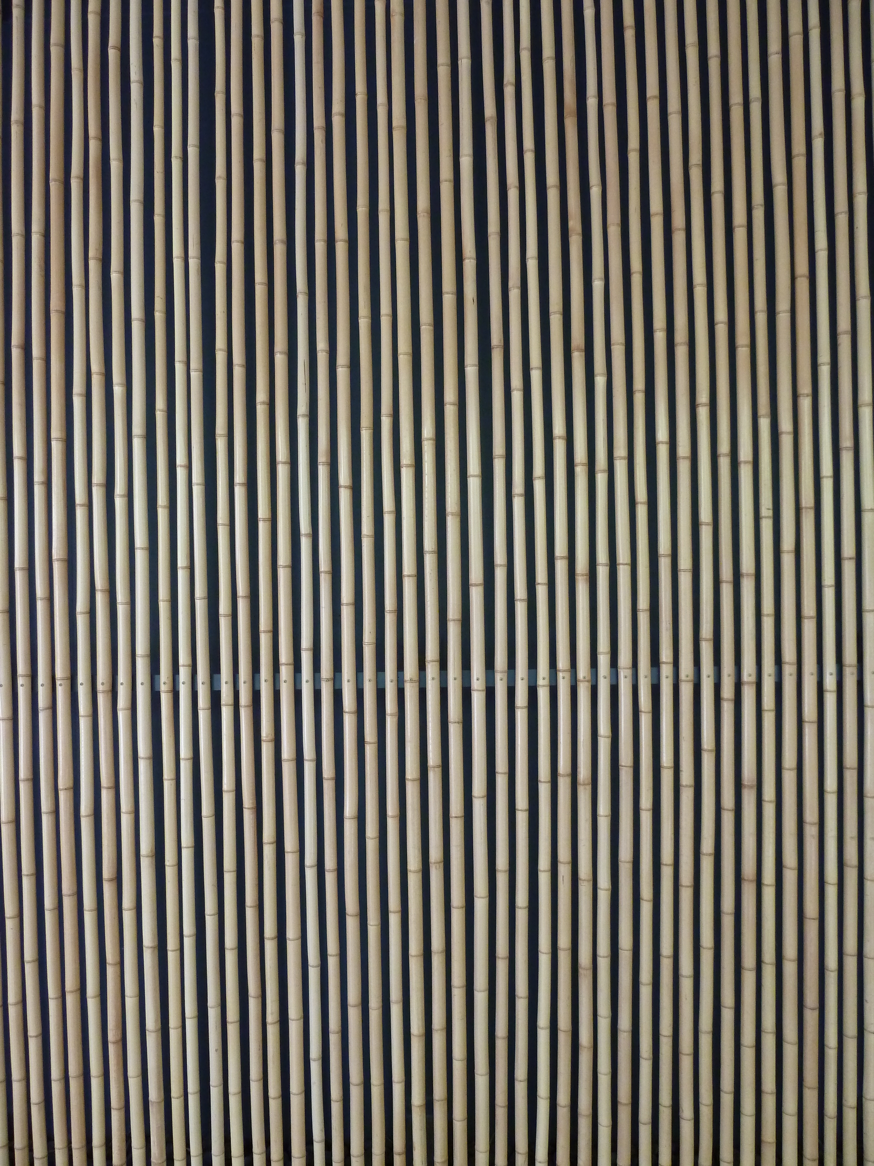 照片 日本(Japan) 东京(Tokyo) 根津美术馆(Nezu Museum) 2010-06 6