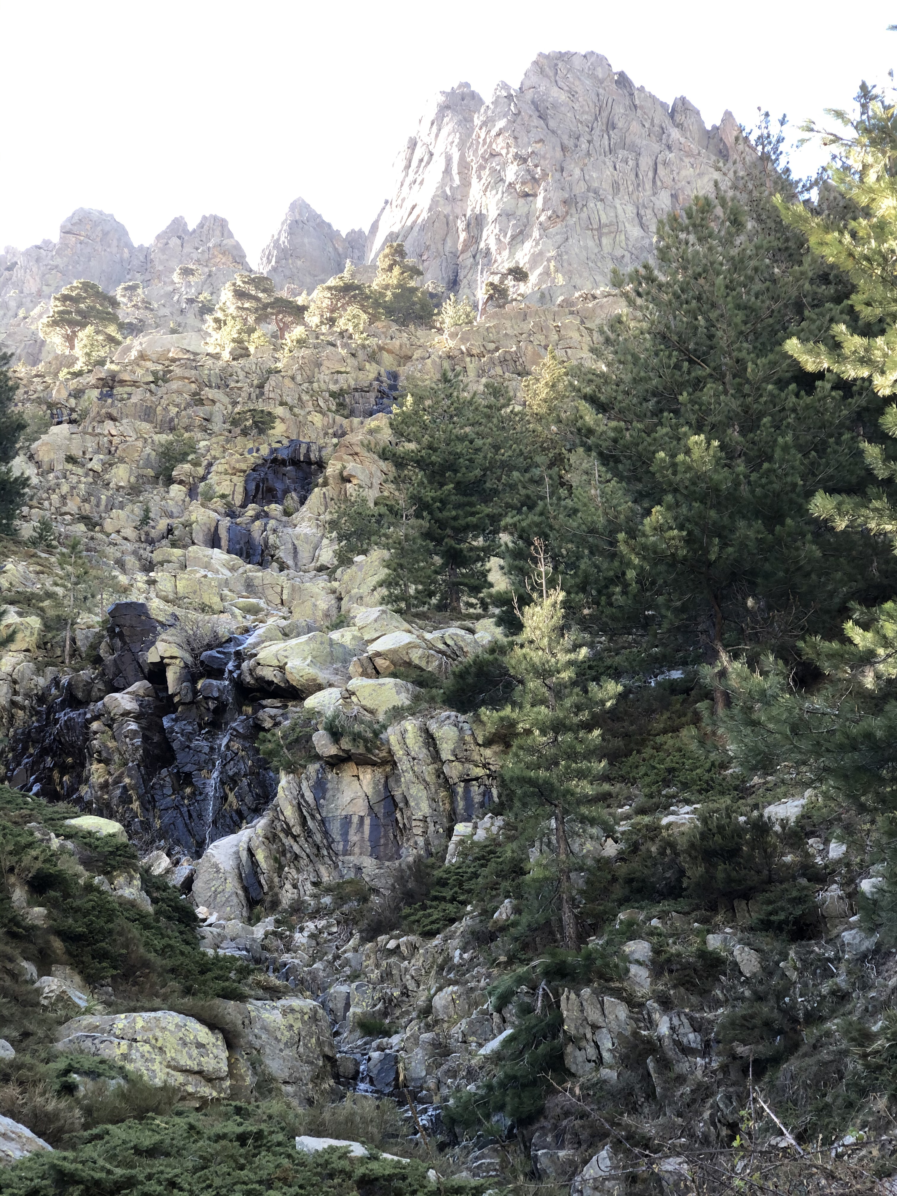 照片 法国(France) 科西嘉岛(Corsica) 梅洛湖和卡皮泰洛湖(Lac de Melo et Capitello) 2021-06 149