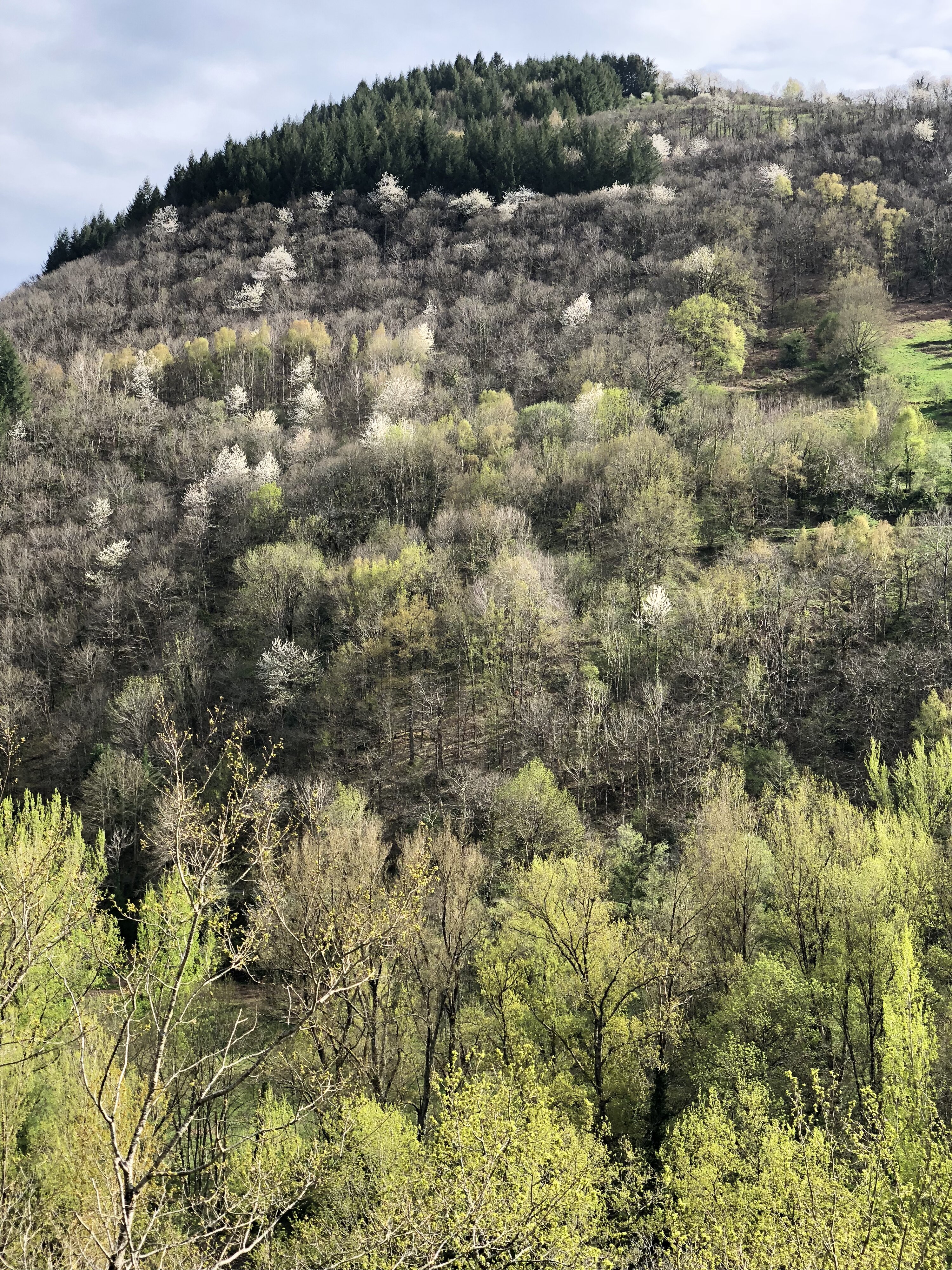 照片 法国(France) 孔克(Conques) 2018-04 111