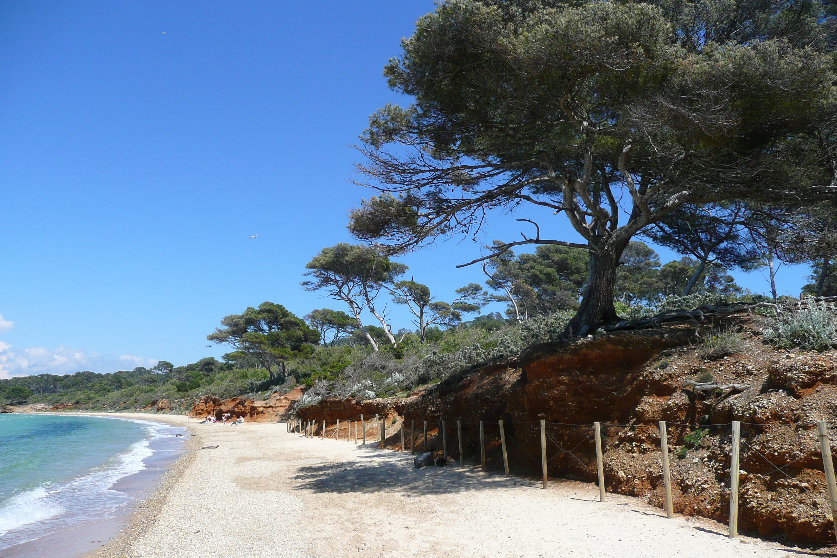 照片 法国(France) 波克罗勒岛(Porquerolles Island) 库尔塔德海滩(Courtade beach) 2008-05 71