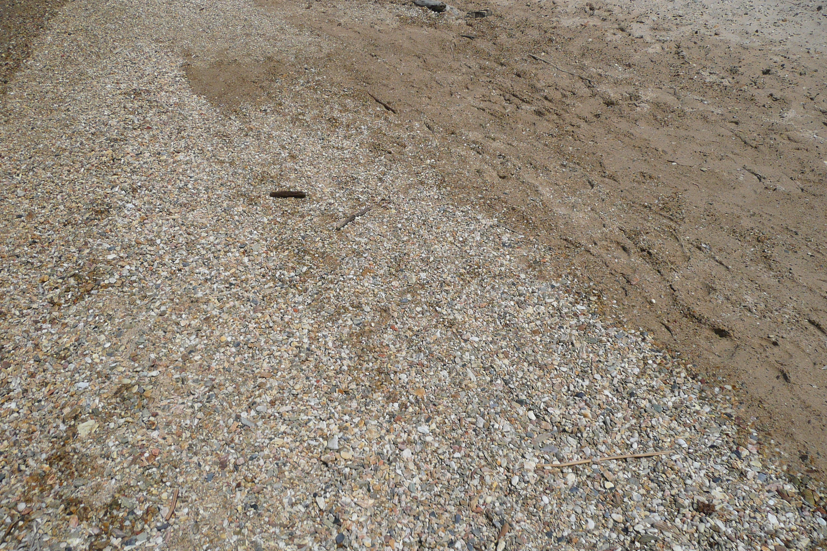照片 法国(France) 波克罗勒岛(Porquerolles Island) 库尔塔德海滩(Courtade beach) 2008-05 44