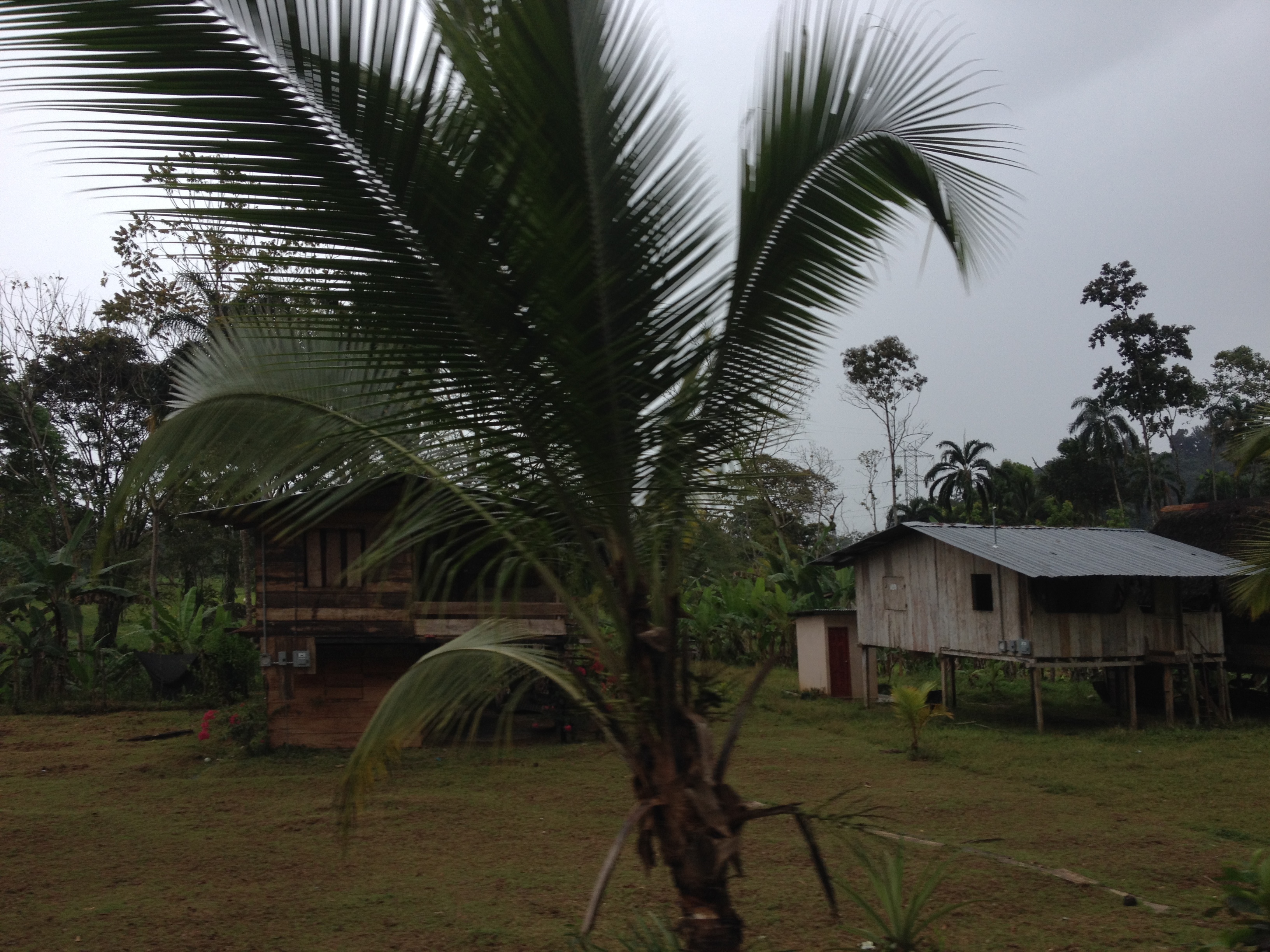 照片 巴拿马(Panama) 戴维至博卡斯德尔托罗(David to Bocas del toro) 2015-03 5