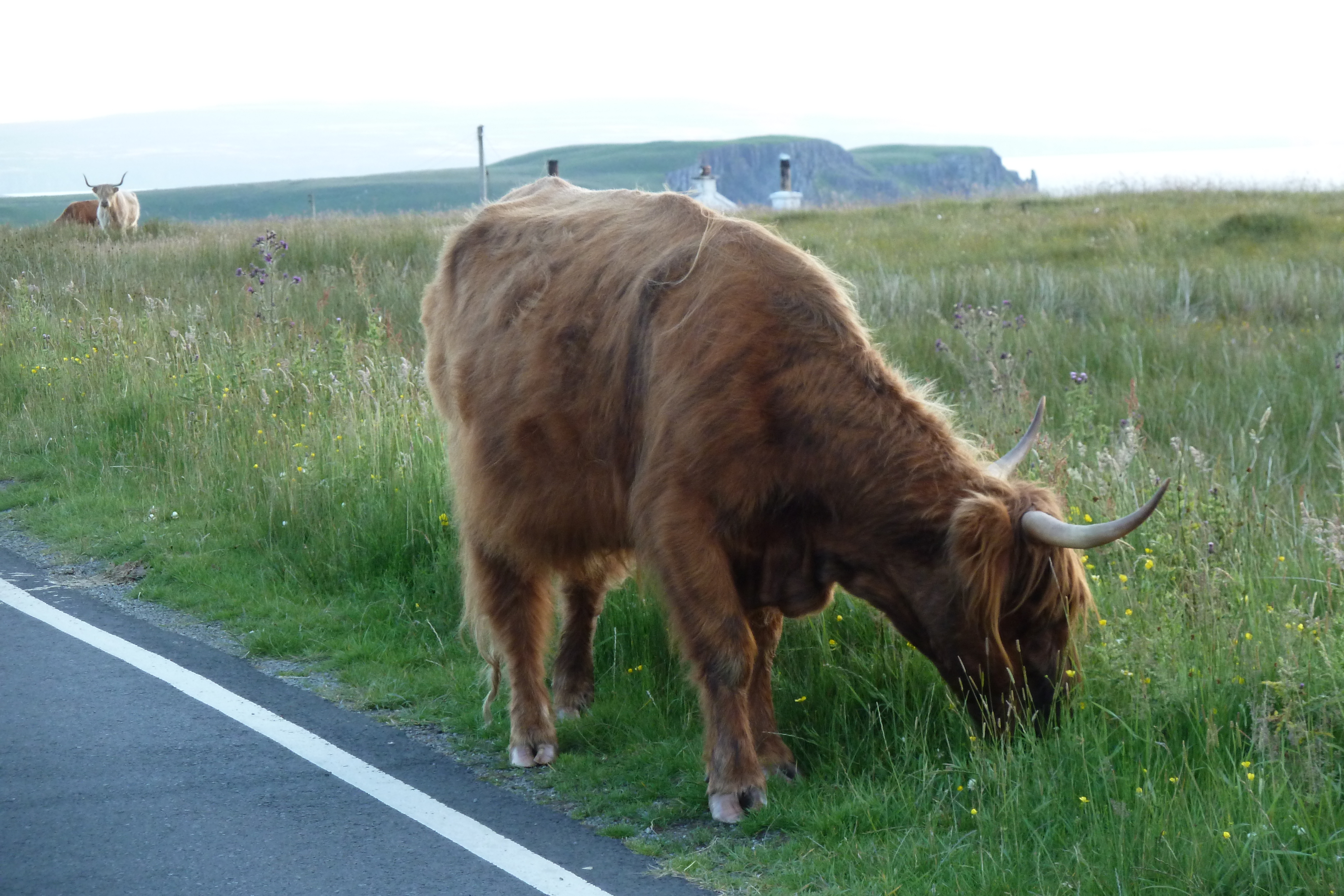 照片 英国(United Kingdom) 斯凯岛(Skye) 2011-07 42