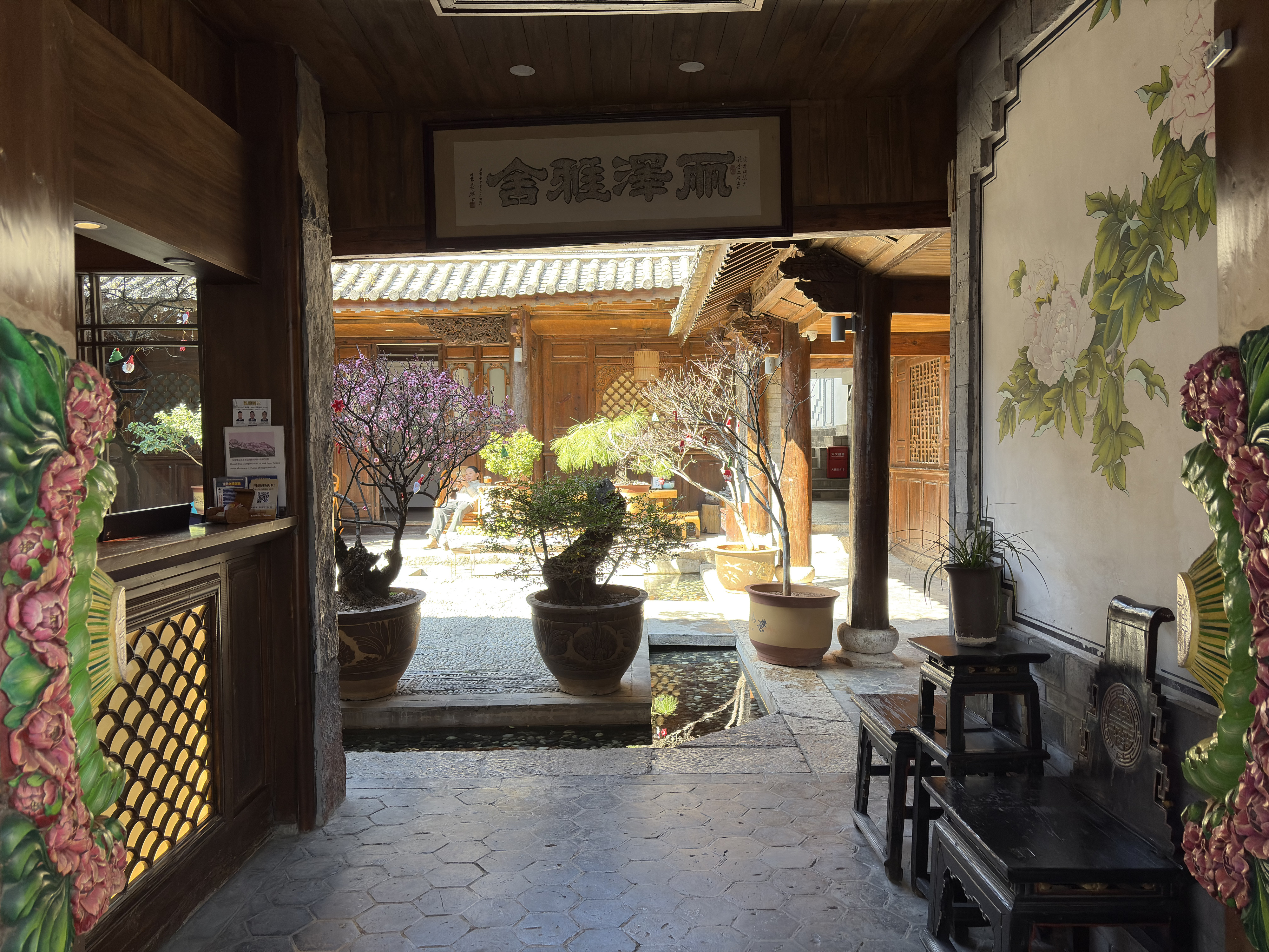 照片 中国(China) 丽江(Lijiang) 2026-01 308
