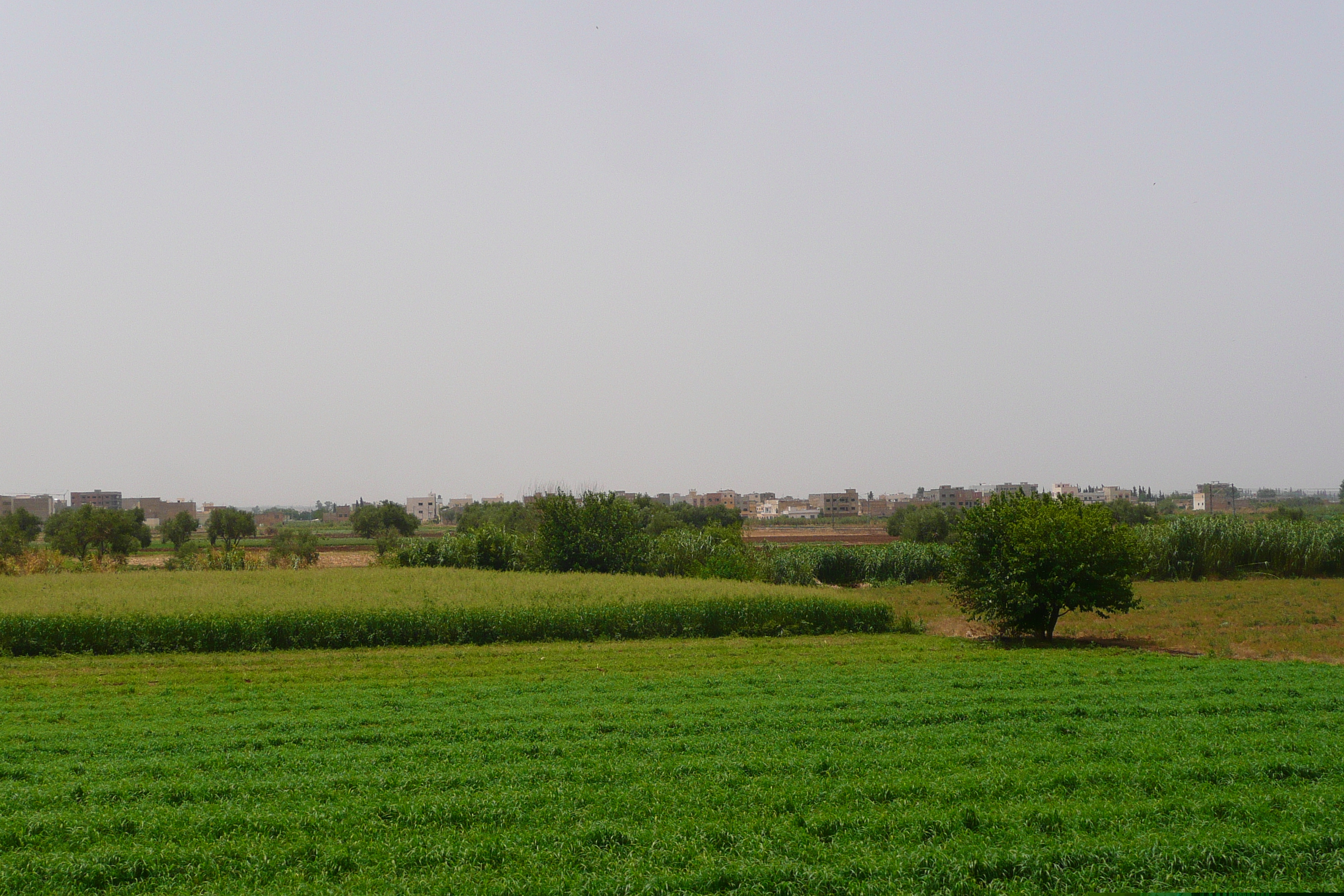 照片 摩洛哥(Morocco) 非斯至拉巴特公路(Fes to Rabat Road) 2008-07 85