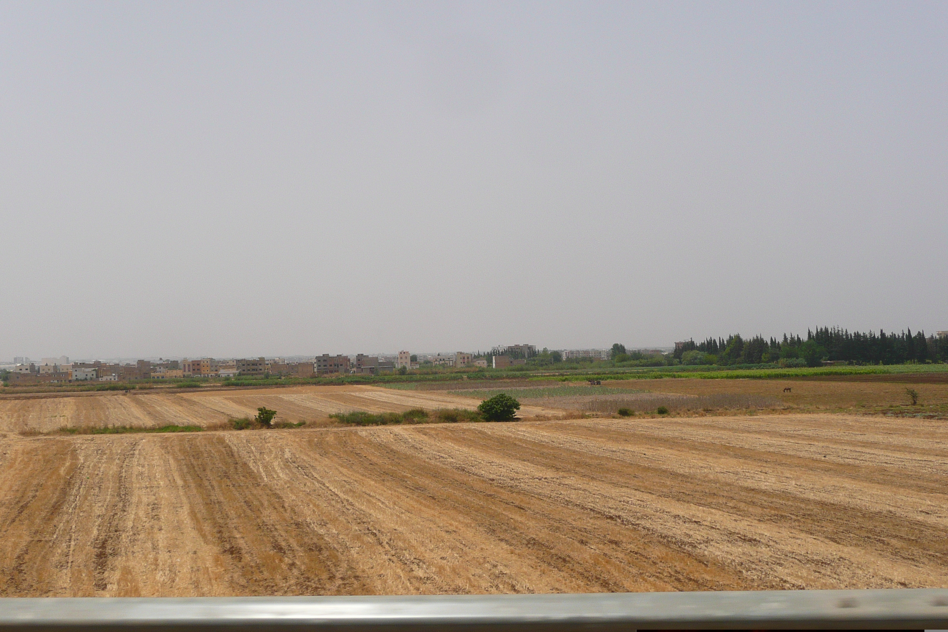 照片 摩洛哥(Morocco) 非斯至拉巴特公路(Fes to Rabat Road) 2008-07 79