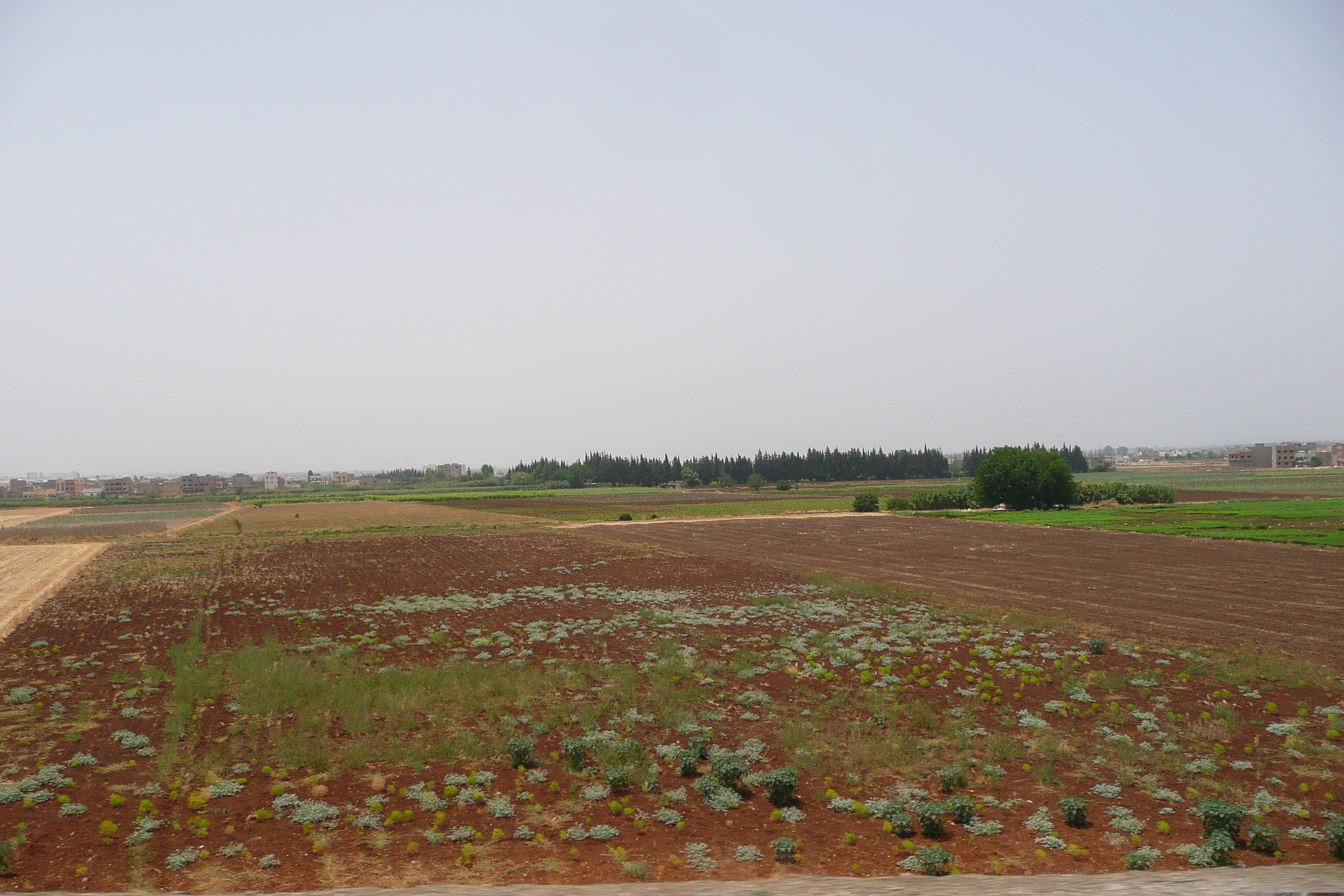 照片 摩洛哥(Morocco) 非斯至拉巴特公路(Fes to Rabat Road) 2008-07 78