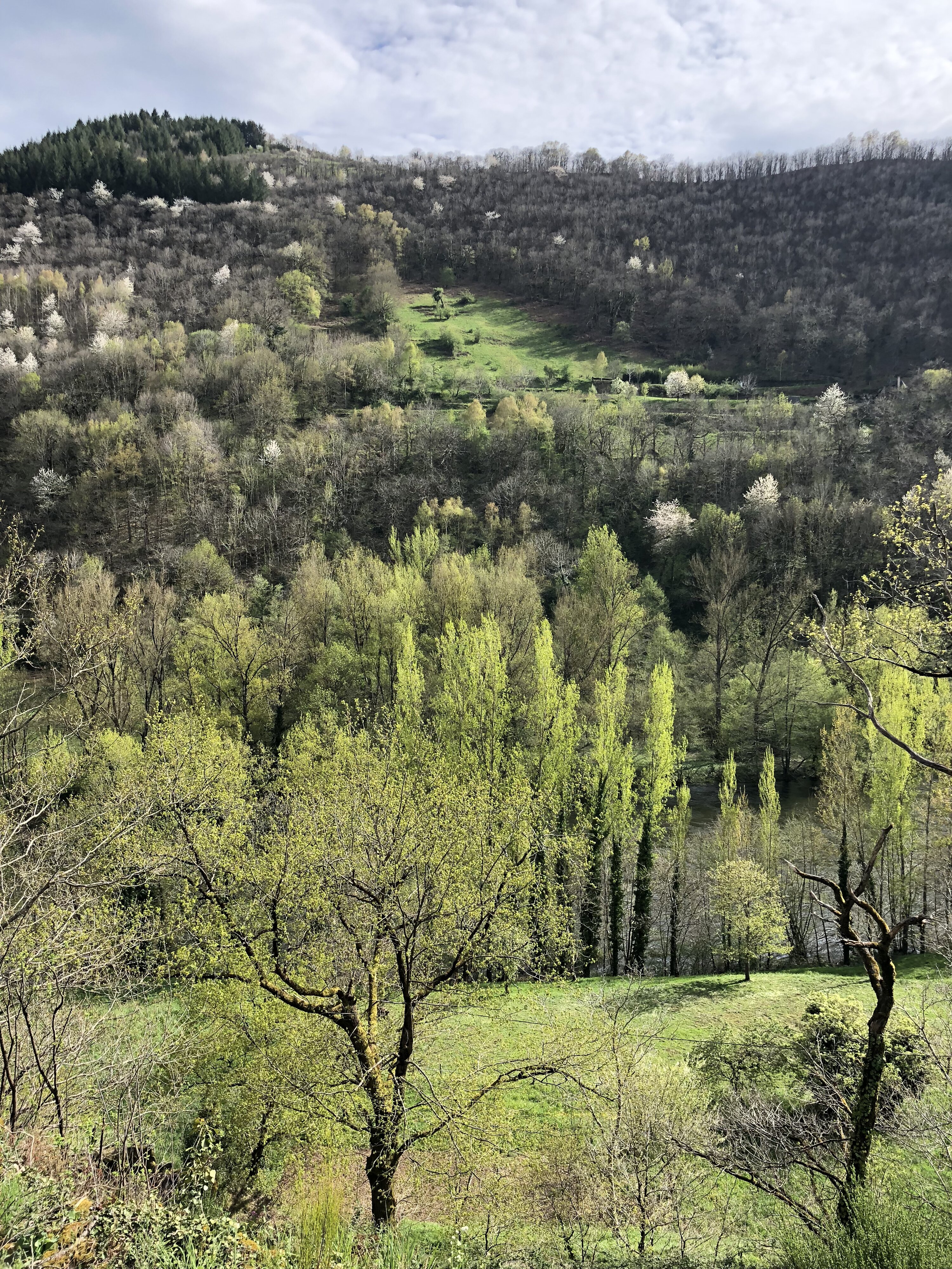 照片 法国(France) 孔克(Conques) 2018-04 69
